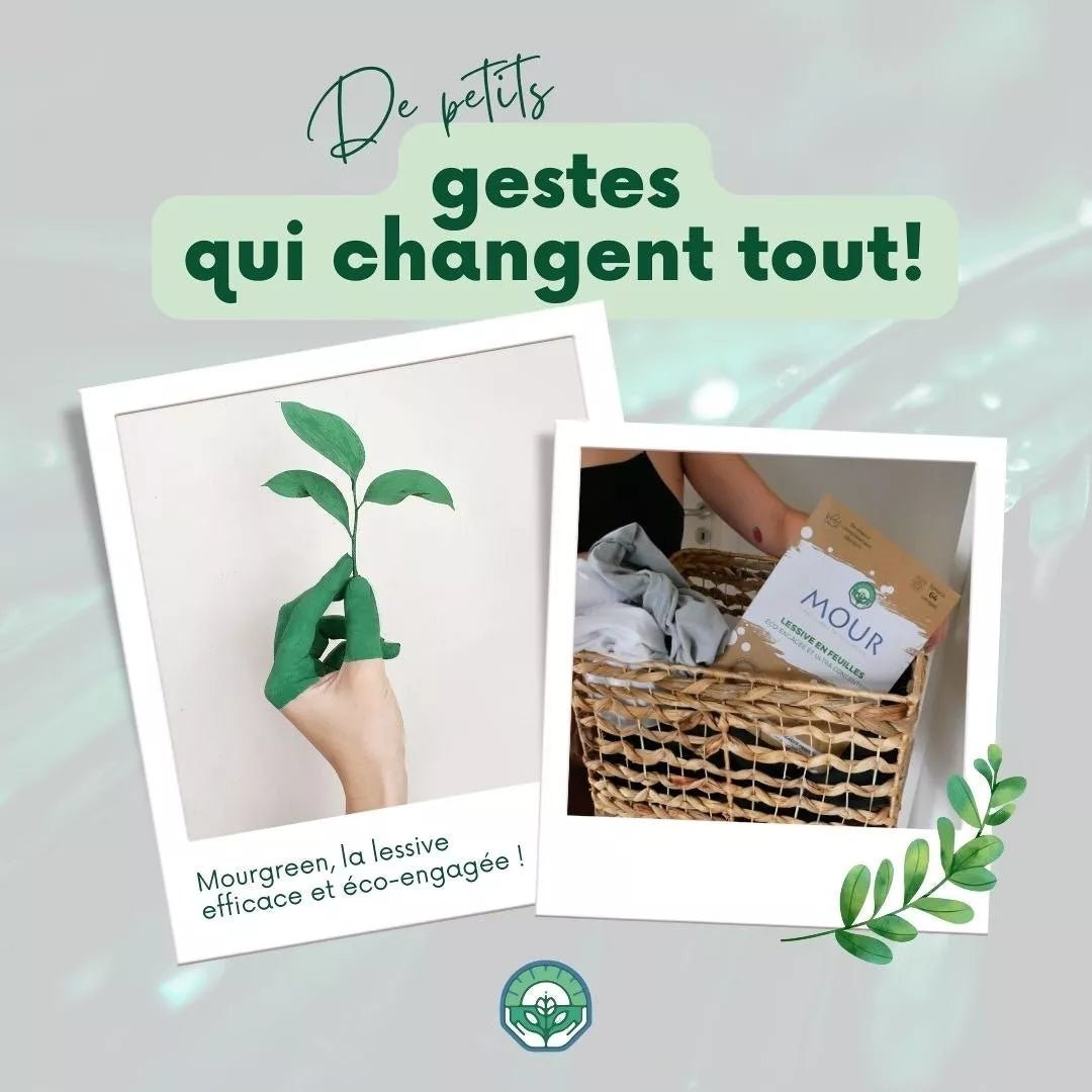 MOUR® Lessive en Feuilles Éco-engagée x 32 ou 64 feuilles de lessive - Clean boutique